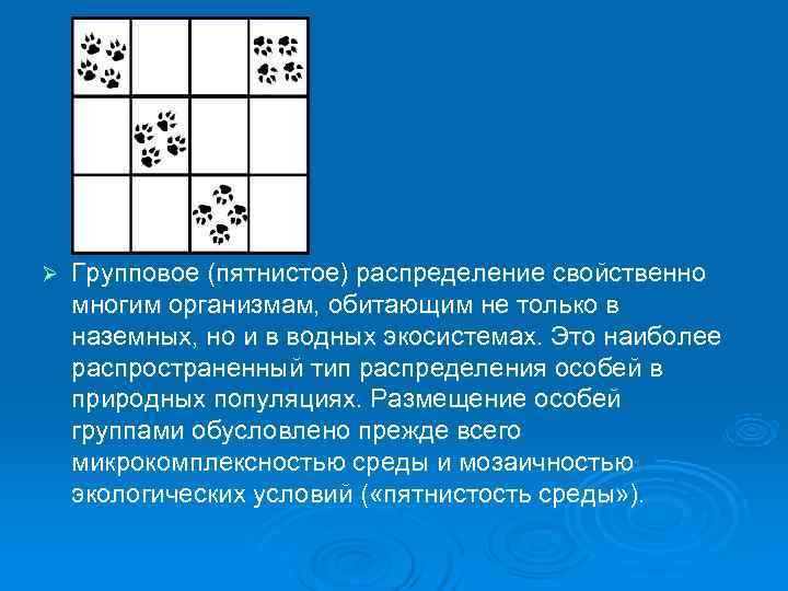 Ø  Групповое (пятнистое) распределение свойственно многим организмам, обитающим не только в наземных, но