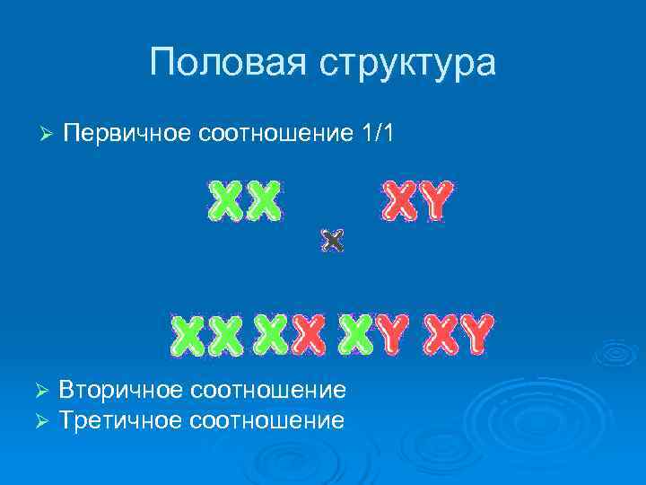    Половая структура Ø  Первичное соотношение 1/1 Ø  Вторичное соотношение