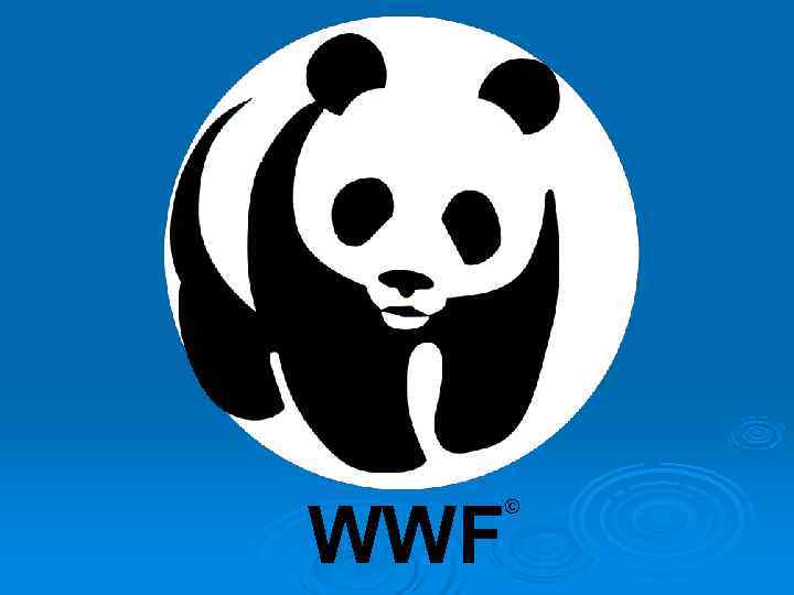 WWF  © 
