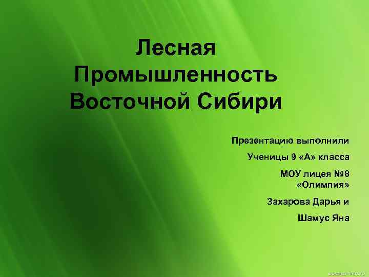  Лесная Промышленность Восточной Сибири   Презентацию выполнили    Ученицы 9