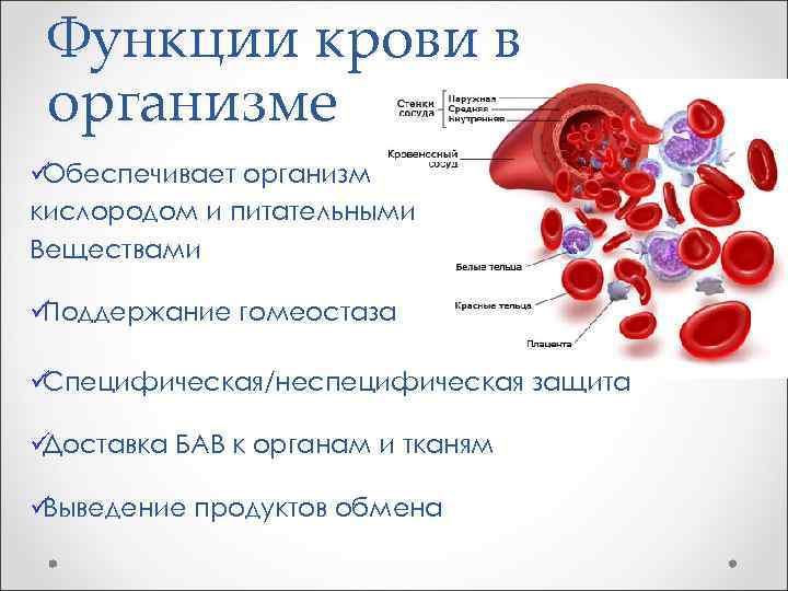  Функции крови в организме üОбеспечивает организм кислородом и питательными Веществами üПоддержание гомеостаза üСпецифическая/неспецифическая
