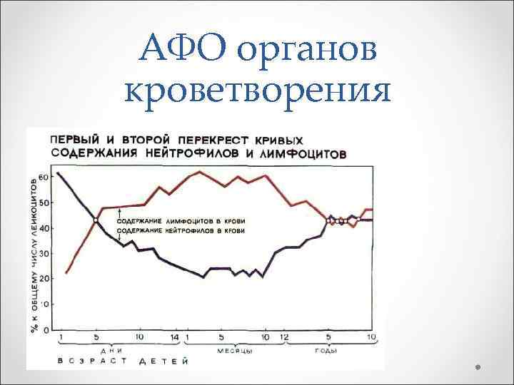 Анатомо физиологические особенности органов кроветворения у детей презентация