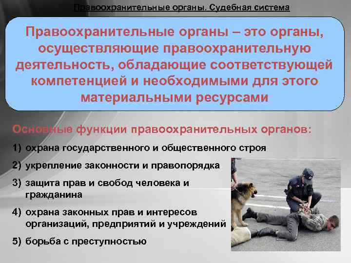   Правоохранительные органы. Судебная система  Правоохранительные органы – это органы, осуществляющие правоохранительную