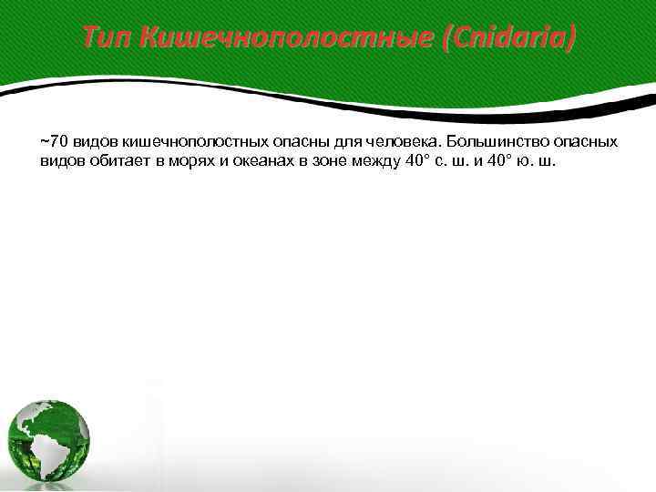   Тип Кишечнополостные (Cnidaria)  ~70 видов кишечнополостных опасны для человека. Большинство опасных