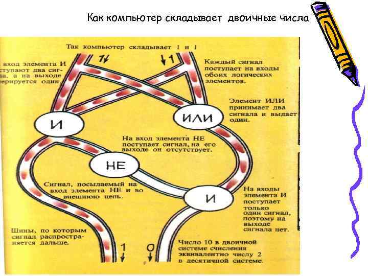 Как компьютер складывает двоичные числа 