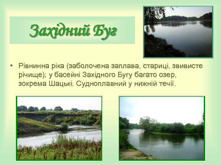 Західний Буг • Рівнинна ріка (заболочена заплава, стариці, звивисте річище); у басейні Західний Буг • Рівнинна ріка (заболочена заплава, стариці, звивисте річище); у басейні