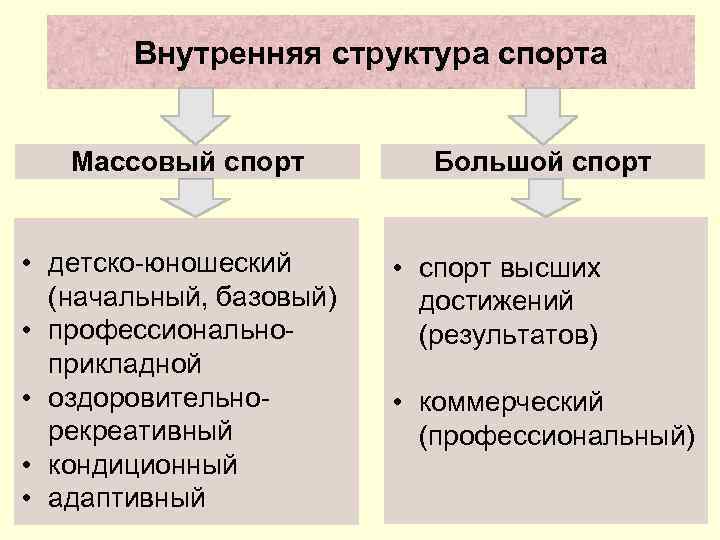   Внутренняя структура спорта Массовый спорт  Большой спорт  • детско-юношеский 