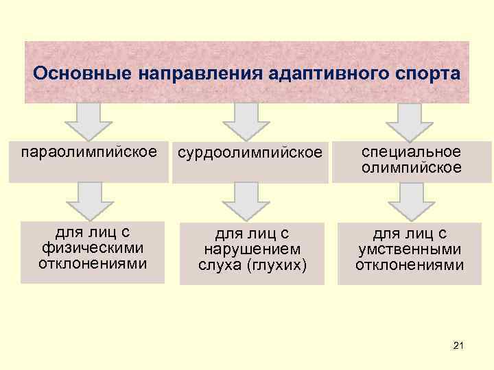  Основные направления адаптивного спорта  параолимпийское  сурдоолимпийское  специальное   