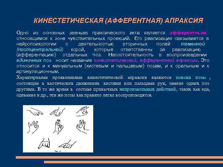 КИНЕСТЕТИЧЕСКАЯ (АФФЕРЕНТНАЯ) АПРАКСИЯ Одно из основных звеньев праксического акта является афферентным, КИНЕСТЕТИЧЕСКАЯ (АФФЕРЕНТНАЯ) АПРАКСИЯ Одно из основных звеньев праксического акта является афферентным,