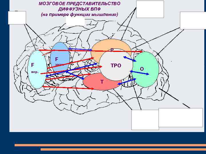 МОЗГОВОЕ ПРЕДСТАВИТЕЛЬСТВО ДИФФУЗНЫХ ВПФ (на примере функции мышления) P F F задн. TPO пер.