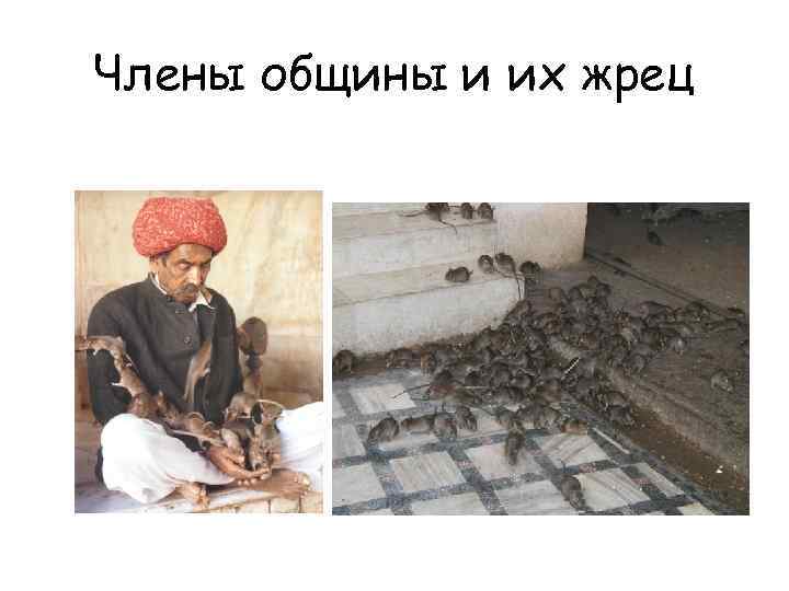 Члены общины и их жрец 