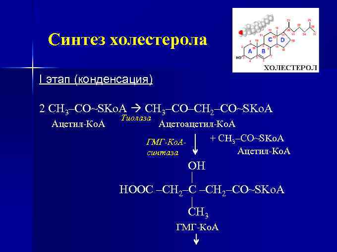 Синтез холестерина