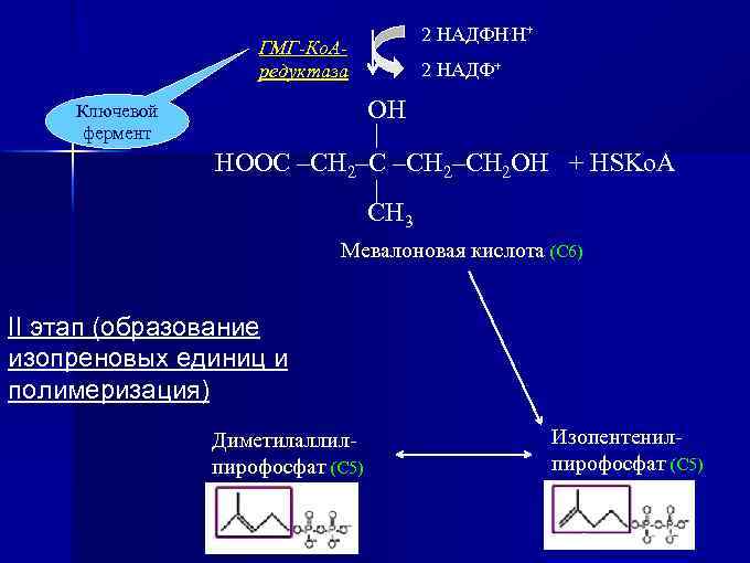 ГМГ-Ко. Аредуктаза Ключевой фермент 2 НАДФН. Н+ 2 НАДФ+ ОН | НООС –СН 2–СН