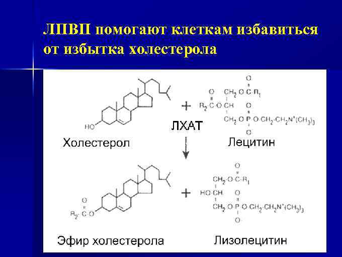 Тип реакции получения холина по следующей схеме этаноламин холин ацетилхолин