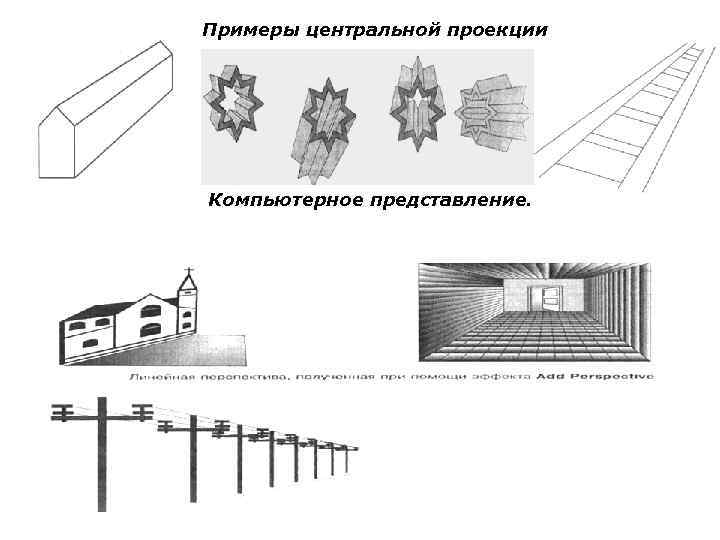 Примеры центральной проекции Компьютерное представление. 