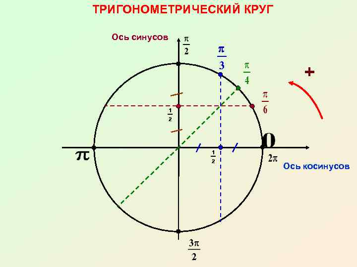 ТРИГОНОМЕТРИЧЕСКИЙ КРУГ Ось синусов p 3 + 1 2 Ось косинусов 