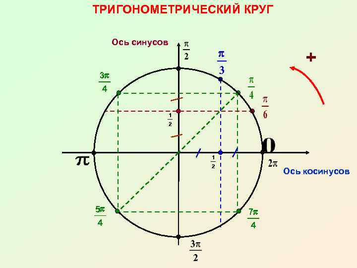 ТРИГОНОМЕТРИЧЕСКИЙ КРУГ Ось синусов p 3 3 p 4 + 1 2 5 p