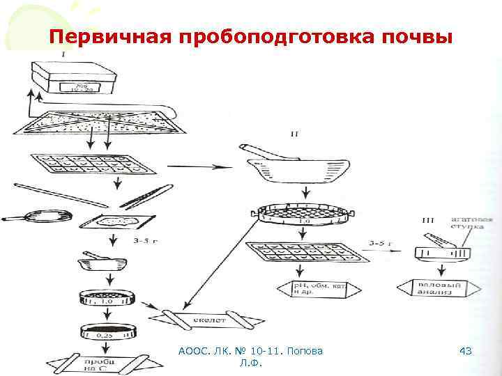 Первичная пробоподготовка почвы АООС. ЛК. № 10 -11. Попова Л. Ф. 43 