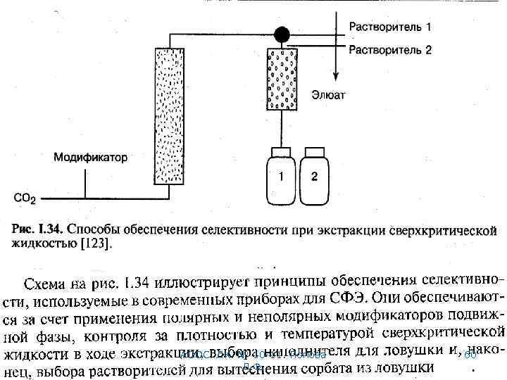 АООС. ЛК. № 10 -11. Попова Л. Ф. 60 