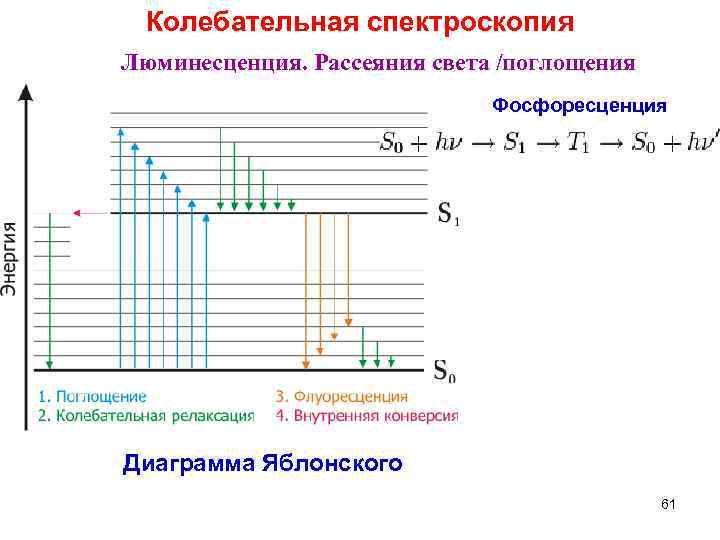 Колебательная спектроскопия Люминесценция. Рассеяния света /поглощения Фосфоресценция Диаграмма Яблонского 61 