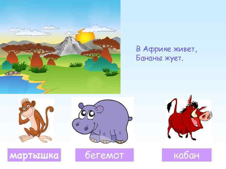      В Африке живет,    Бананы жует. мартышка