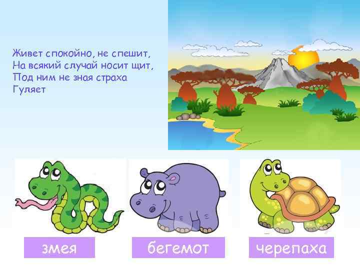 Живет спокойно, не спешит, На всякий случай носит щит, Под ним не зная страха