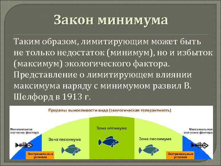   Закон минимума Таким образом, лимитирующим может быть не только недостаток (минимум), но