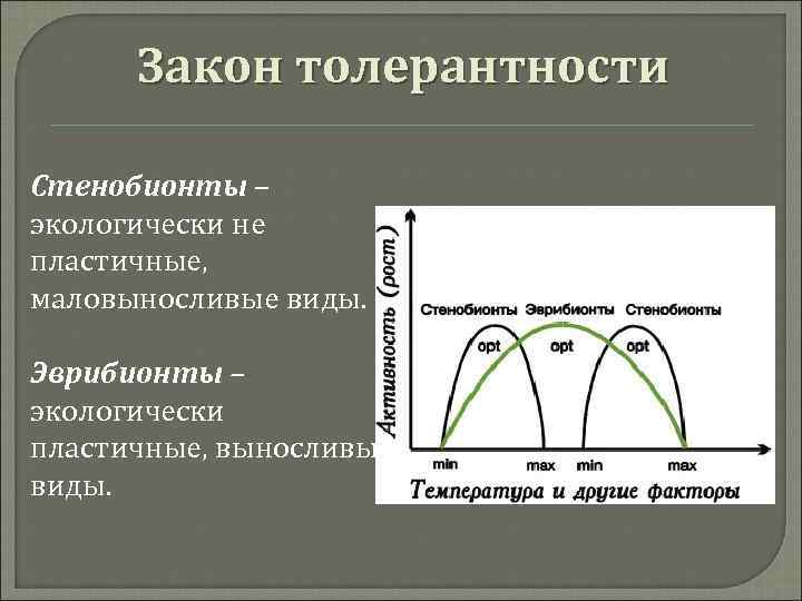  Закон толерантности Стенобионты – экологически не пластичные,  маловыносливые виды.  Эврибионты –