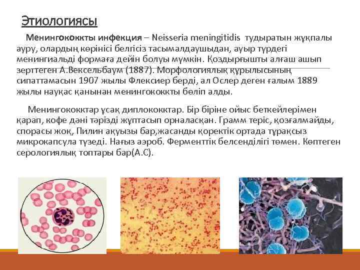  Этиологиясы  Менингококкты инфекция – Neisseria meningitidis тудыратын жұқпалы ауру, олардың көрінісі белгісіз