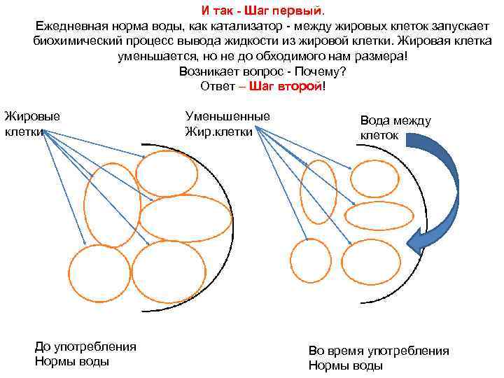       И так - Шаг первый. Ежедневная норма воды,