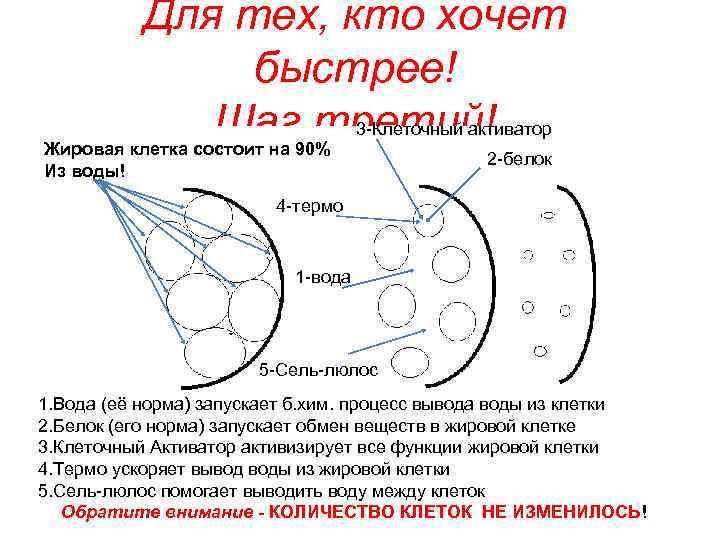    Для тех, кто хочет     быстрее!  