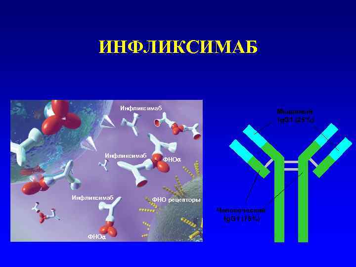  ИНФЛИКСИМАБ   Инфликсимаб     Мышиный    
