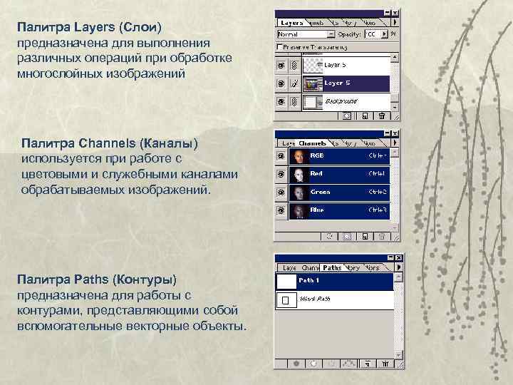 Палитра Layers (Слои) предназначена для выполнения различных операций при обработке многослойных изображений Палитра Channels
