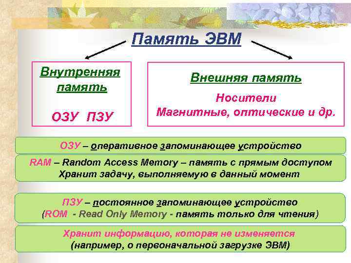    Память ЭВМ Внутренняя   Внешняя память    