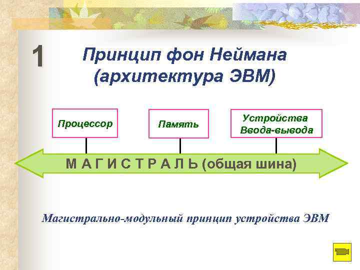1 Принцип фон Неймана   (архитектура ЭВМ)      Устройства