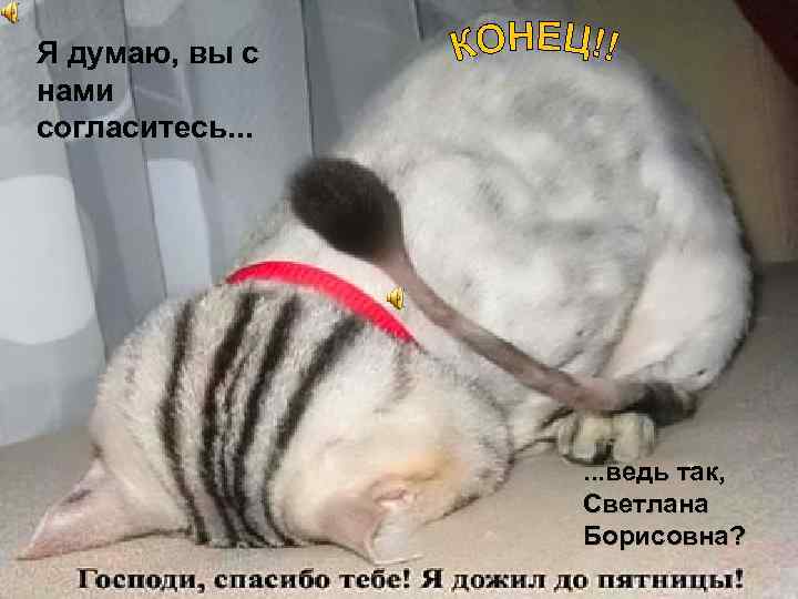 Я думаю, вы с нами согласитесь. . . ведь так, Светлана Борисовна? 