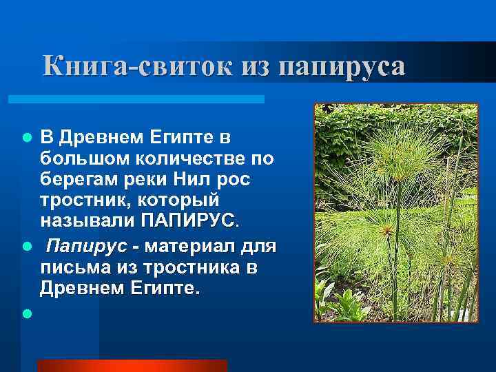   Книга-свиток из папируса l В Древнем Египте в  большом количестве по