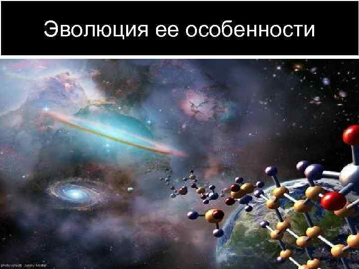 Эволюция ее особенности 