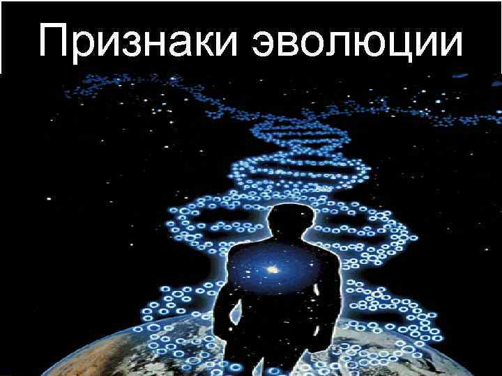 Признаки эволюции 