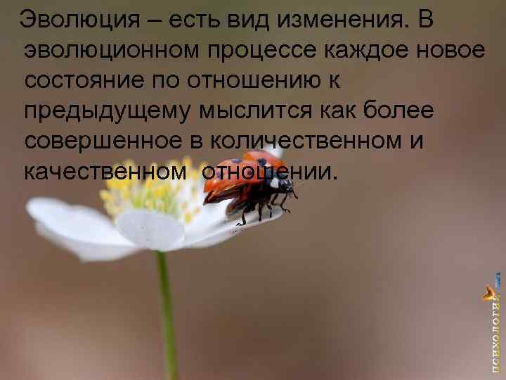  Эволюция – есть вид изменения. В  эволюционном процессе каждое новое  состояние