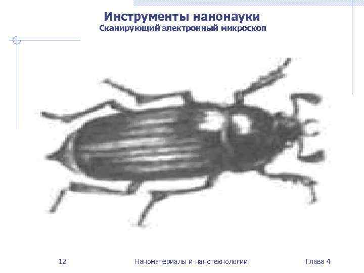  Инструменты нанонауки Сканирующий электронный микроскоп 12   Наноматериалы и нанотехнологии  Глава