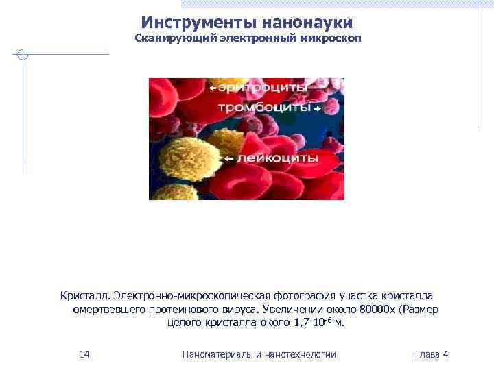    Инструменты нанонауки   Сканирующий электронный микроскоп Кристалл. Электронно-микроскопическая фотография участка