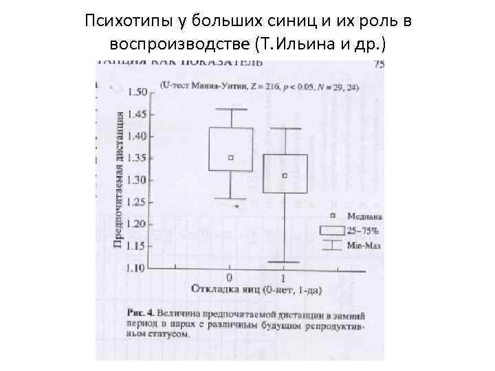 Психотипы у больших синиц и их роль в воспроизводстве (Т. Ильина и др. )