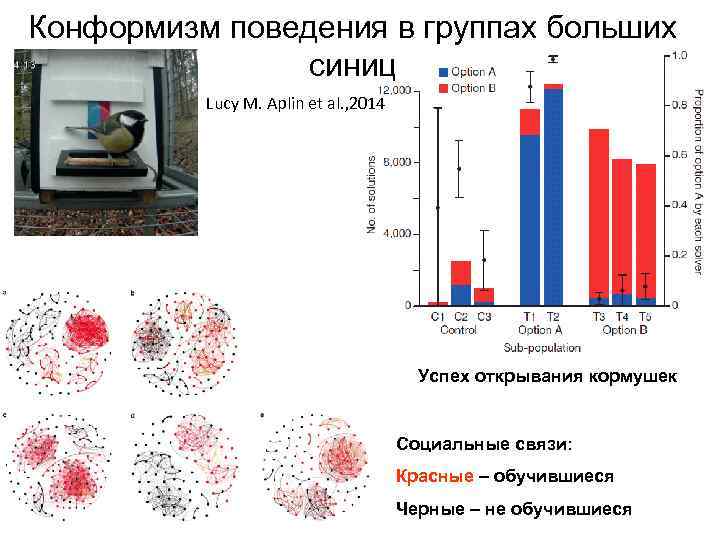 Конформизм поведения в группах больших синиц Lucy M. Aplin et al. , 2014 Успех