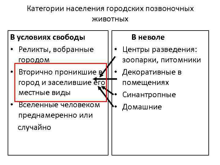 Категории населения городских позвоночных животных В условиях свободы • Реликты, вобранные городом • Вторично