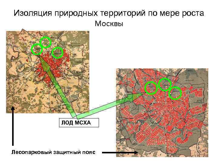 Изоляция природных территорий по мере роста Москвы ЛОД МСХА Лесопарковый защитный пояс 