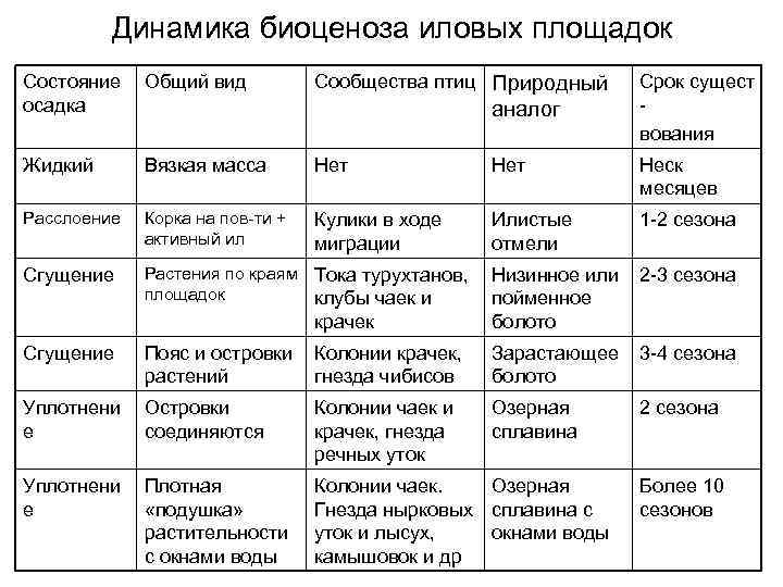 Динамика биоценоза иловых площадок Состояние осадка Общий вид Сообщества птиц Природный Жидкий Вязкая масса