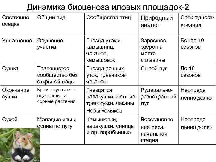 Динамика биоценоза иловых площадок-2 Состояние осадка Общий вид Сообщества птиц Природный аналог Срок существования