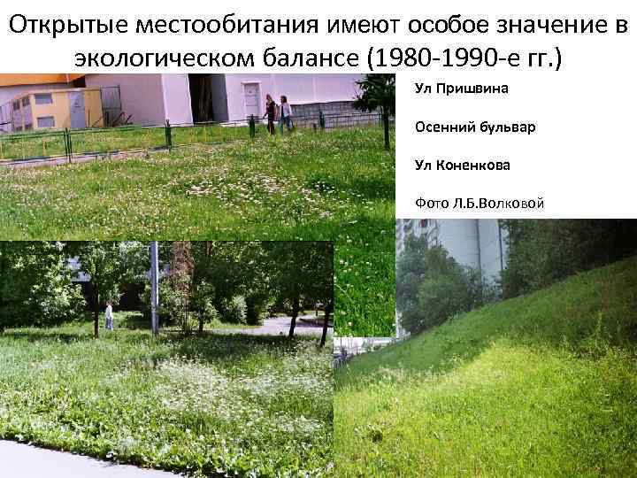 Открытые местообитания имеют особое значение в экологическом балансе (1980 -1990 -е гг. ) Ул