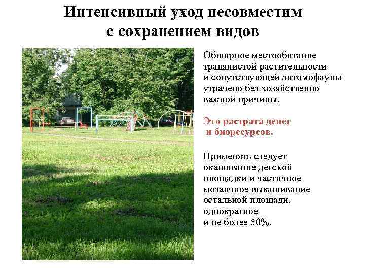 Интенсивный уход несовместим с сохранением видов Обширное местообитание травянистой растительности и сопутствующей энтомофауны утрачено